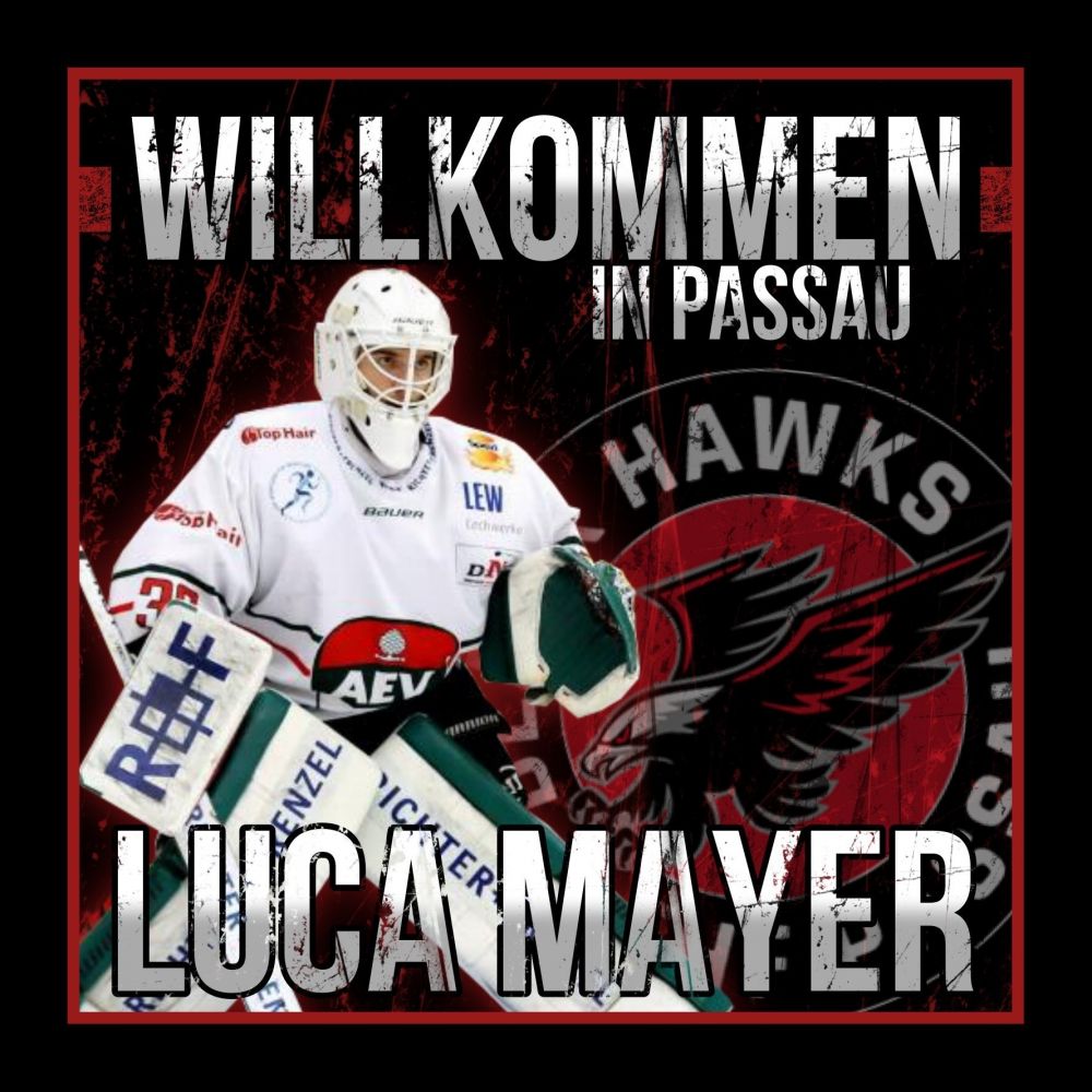 Black Hawks verpflichten Goalie Luca Mayer vom Augsburger EV
